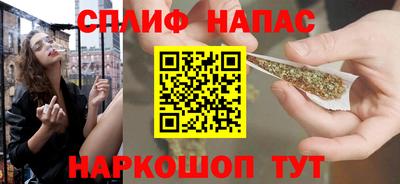 прущие грибы Камышлов