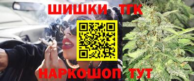прущие грибы Камышлов