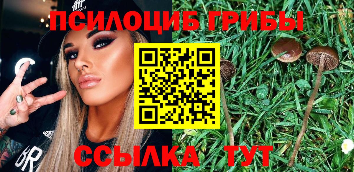 Псилоцибиновые грибы Cubensis  Вход с VPN  Галлюциногенные грибы GOLDEN TEACHER  Георгиевск 